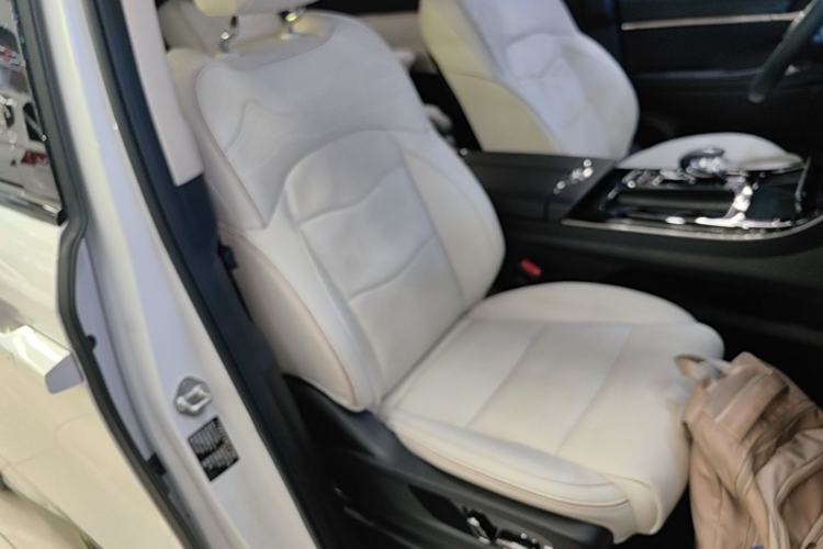 Used GAC Trumpchi E9 2023 E9 MAX Right Front Seat