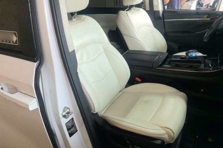 Used GAC Trumpchi E9 2023 E9 MAX Right Front Seat