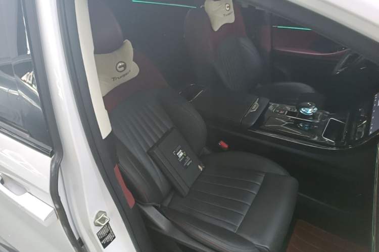 Used GAC Trumpchi E9 2023 E9 Master Model Right Front Seat