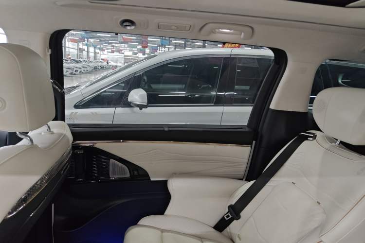 Used GAC Trumpchi E9 2023 E9 MAX Right Rear Door Interior