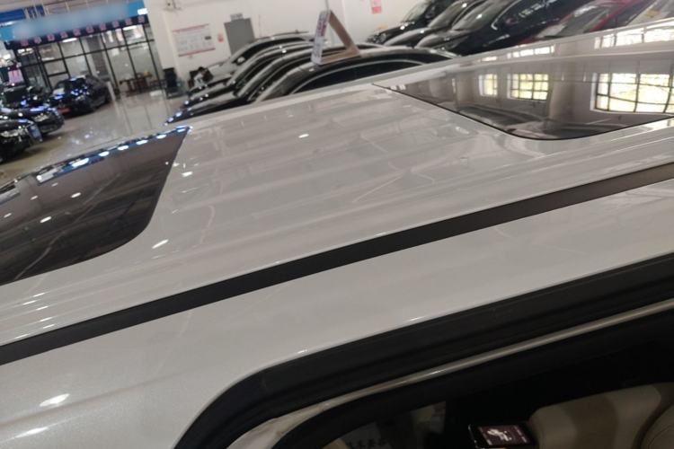 Used GAC Trumpchi E9 2023 E9 MAX Roof