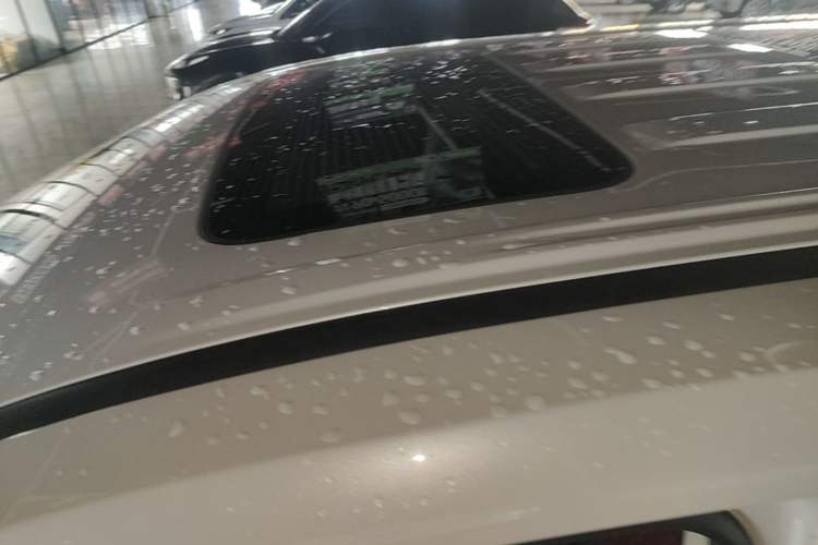 Used GAC Trumpchi E9 2023 E9 MAX Roof