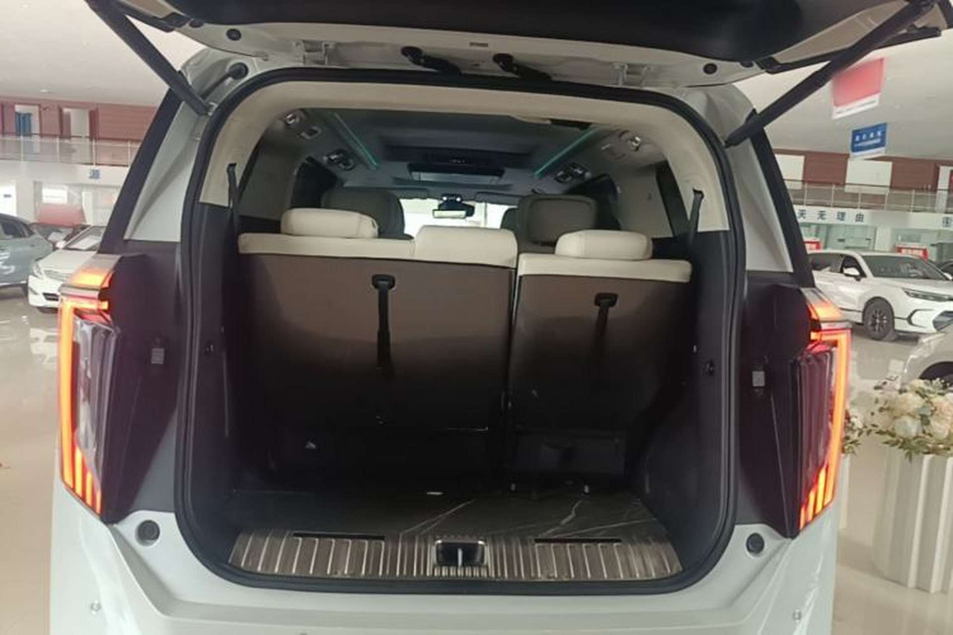 Used GAC Trumpchi E9 2023 E9 MAX Trunk