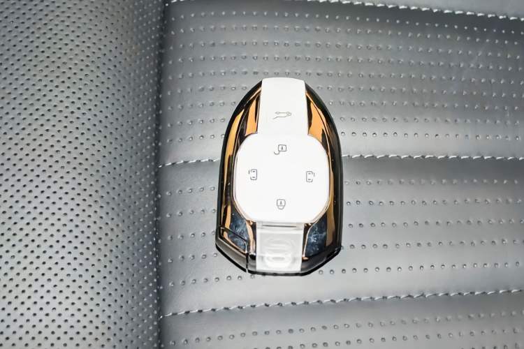 Used GAC Trumpchi E9 2023 E9 MAX Vehicle Key