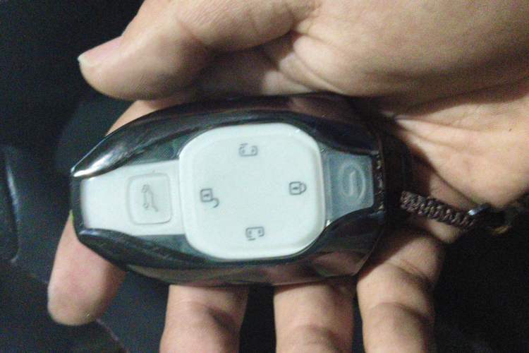 Used GAC Trumpchi E9 2023 E9 MAX Vehicle Key