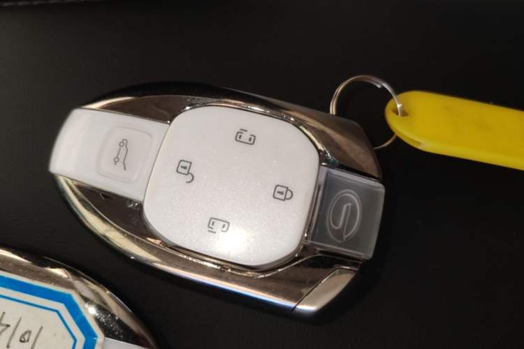 Used GAC Trumpchi E9 2023 E9 MAX Vehicle Key