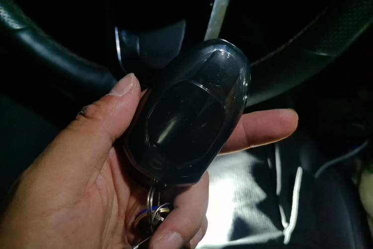 Used GAC Trumpchi E9 2023 E9 MAX Vehicle Key