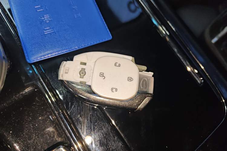Used GAC Trumpchi E9 2023 E9 Master Model Vehicle Key