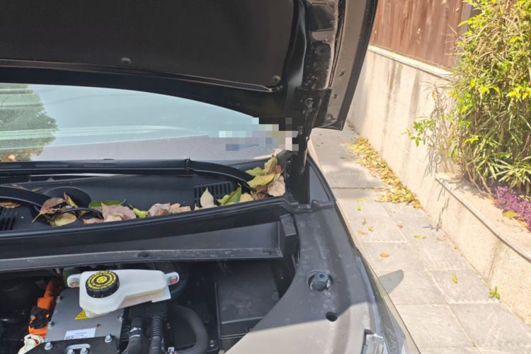 Used GAC Trumpchi E9 2024 E9 Champion Edition Engine Bay Left