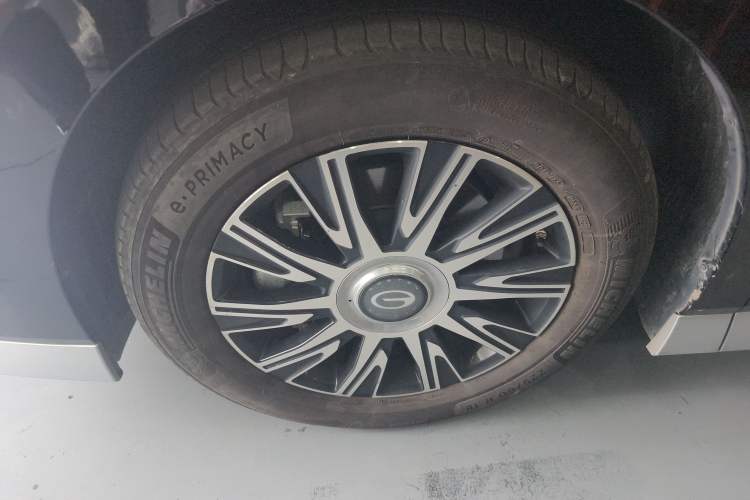 Used GAC Trumpchi E9 2024 E9 Champion Edition Exterior 4