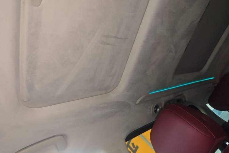 Used GAC Trumpchi E9 2024 E9 Champion Edition Headliner