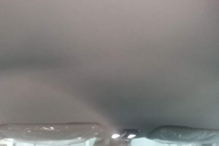 Used GAC Trumpchi E9 2024 E9 State Guest Custom Edition Headliner