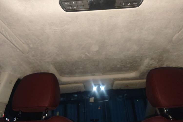 Used GAC Trumpchi E9 2024 E9 Champion Edition Headliner