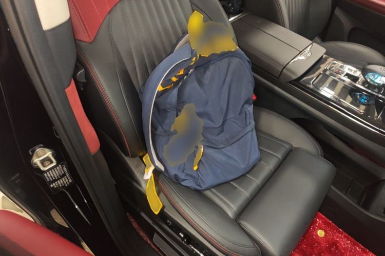 Used GAC Trumpchi E9 2024 E9 Champion Edition Right Front Seat