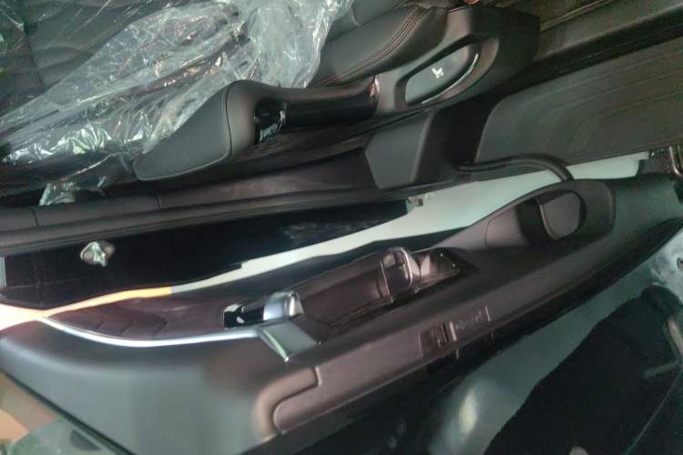 Used GAC Trumpchi E9 2024 E9 State Guest Custom Edition Right Rear Door Interior