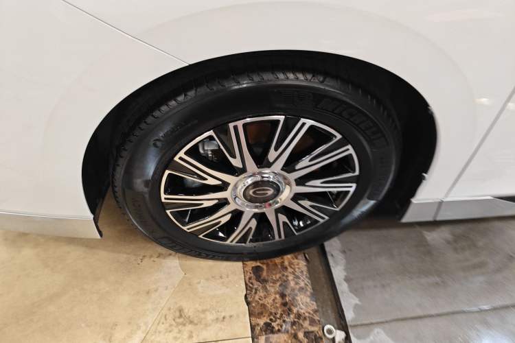 Used GAC Trumpchi E9 2024 E9 Champion Edition Exterior 4