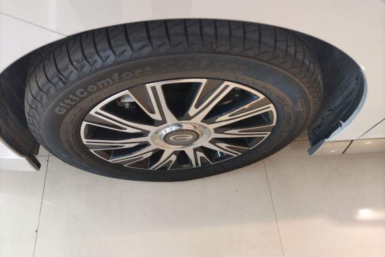 Used GAC Trumpchi E9 2024 E9 New Year Edition Exterior 4