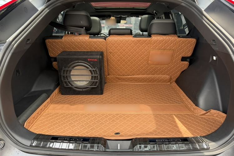 Used GAC Trumpchi EMKOO 2022 2.0 ATK TwinStar Pro Edition Interior 8