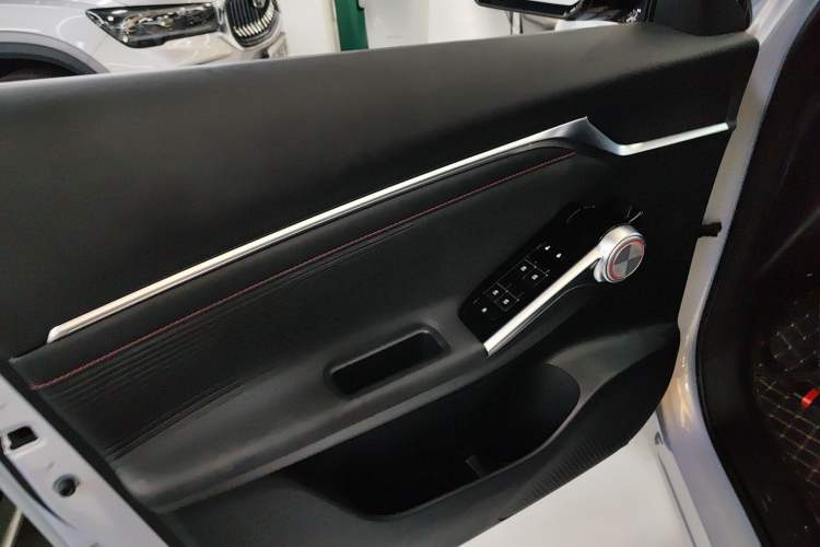 Used GAC Trumpchi EMKOO 2022 1.5T Supernova Pro Edition Left Front Door Interior