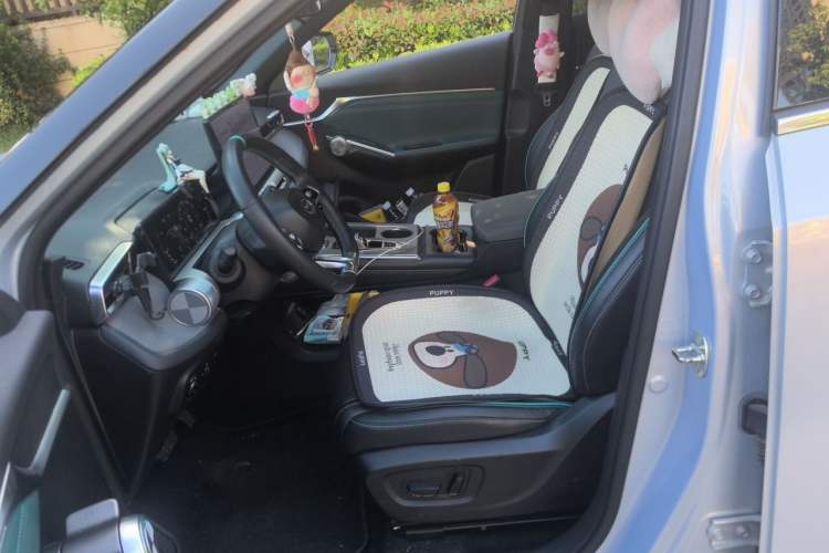 Used GAC Trumpchi EMKOO 2022 1.5T Supernova Pro Edition Left Front Seat