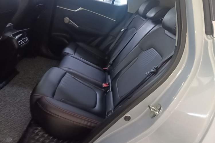 Used GAC Trumpchi EMKOO 2022 2.0T Neutron Star Pro Edition Left Rear Seat