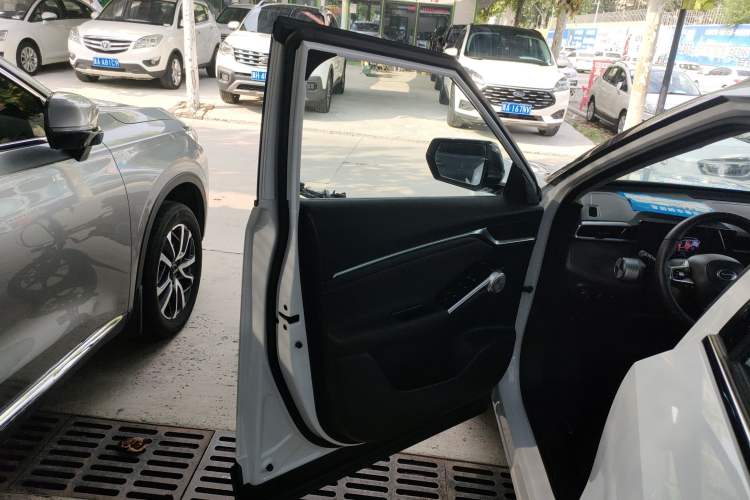 Used GAC Trumpchi EMKOO 2022 2.0T Neutron Star Pro Edition Left Front Door Interior