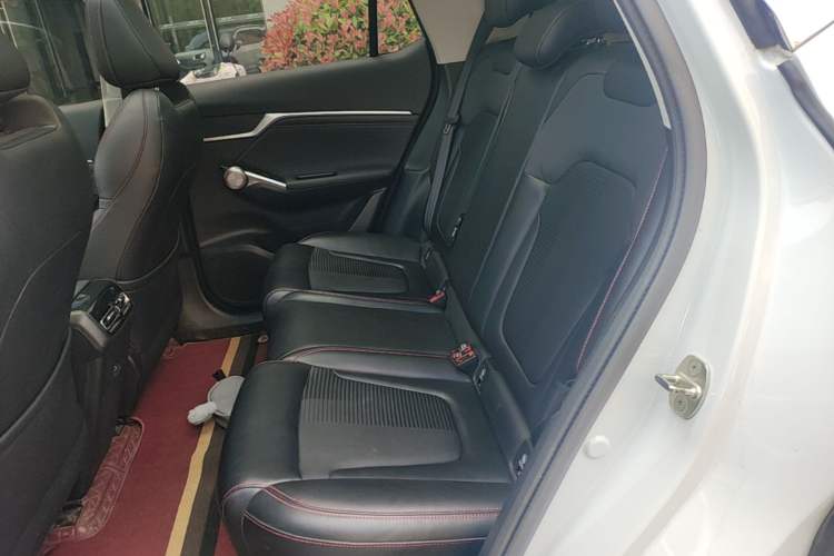 Used GAC Trumpchi EMKOO 2022 1.5T Supernova Pro Edition Left Rear Seat