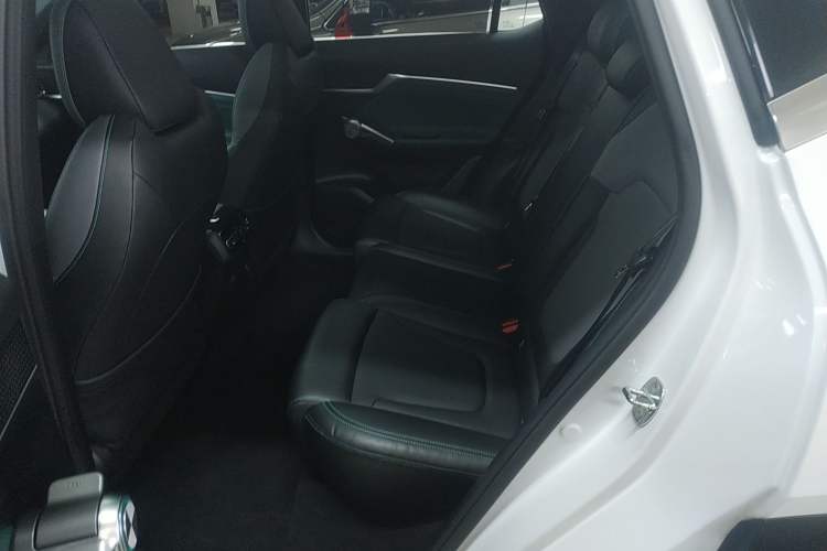 Used GAC Trumpchi EMKOO 2022 2.0T Neutron Star Pro Edition Left Rear Seat