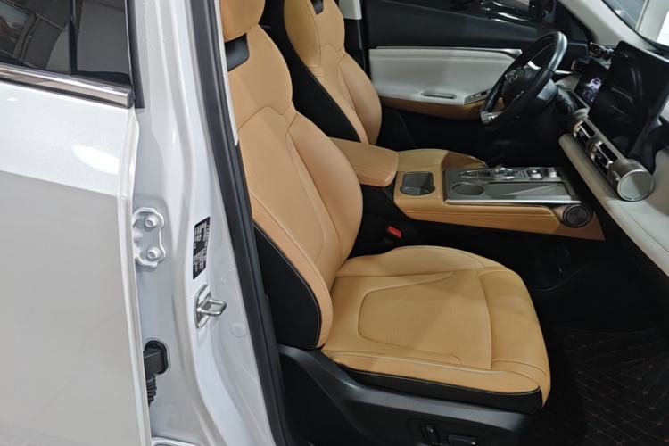 Used GAC Trumpchi EMKOO 2022 2.0 ATK TwinStar Pro Edition Right Front Seat