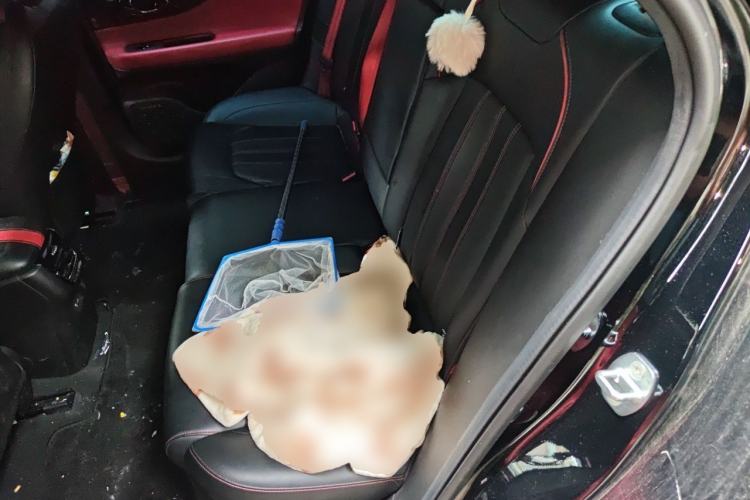 Used GAC Trumpchi EMPOW 2021 270T DCT J15 Version Left Rear Seat