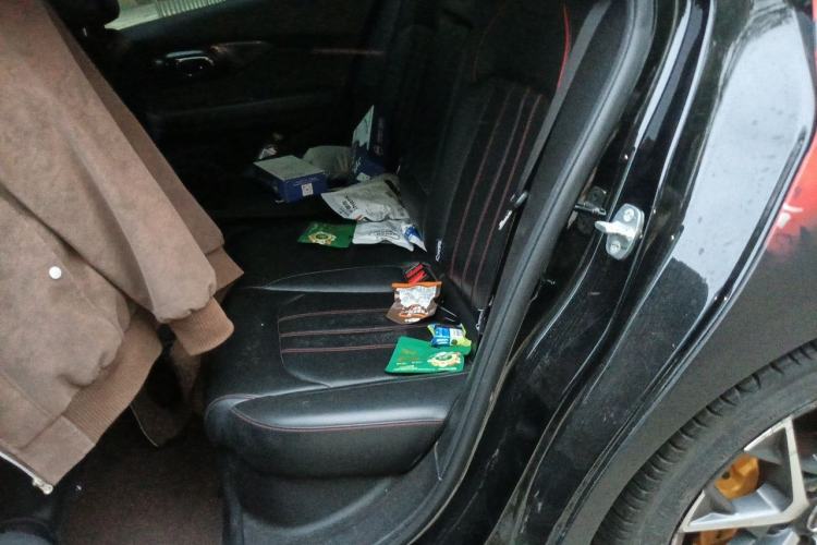 Used GAC Trumpchi EMPOW 2021 270T DCT J16 Version Left Rear Seat