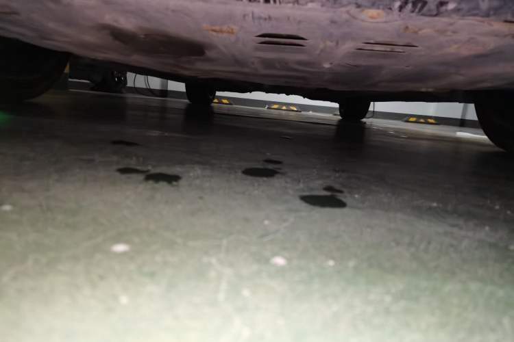 Used GAC Trumpchi EMPOW 2021 270T DCT J16 Version Chassis Front