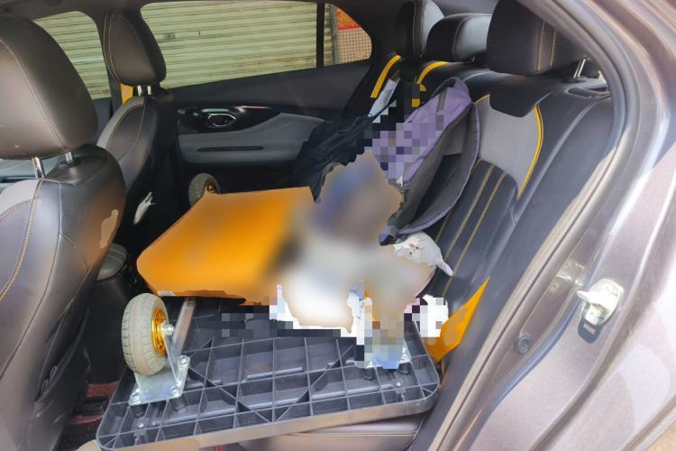 Used GAC Trumpchi EMPOW 2021 270T DCT J15 Version Left Rear Seat