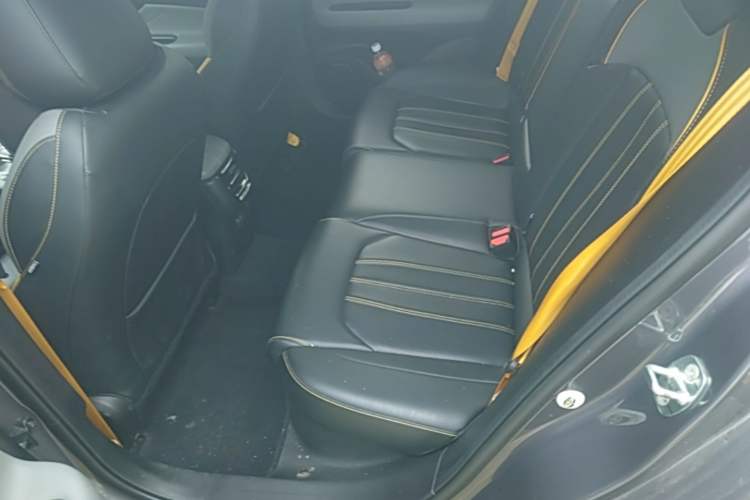 Used GAC Trumpchi EMPOW 2021 270T DCT J15 Version Left Rear Seat