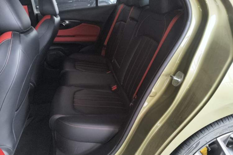 Used GAC Trumpchi EMPOW 2021 270T DCT J15 Version Left Rear Seat