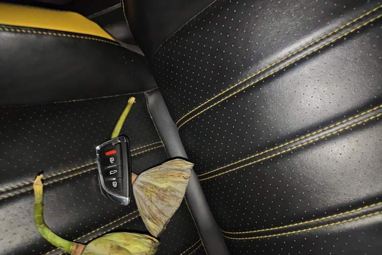 Used GAC Trumpchi EMPOW 2021 270T DCT J16 Version Vehicle Key