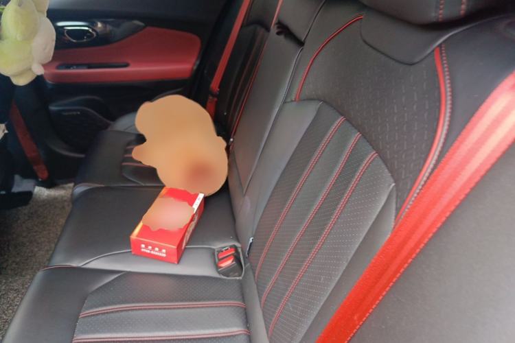 Used GAC Trumpchi EMPOW 2021 270T DCT J15 Version Left Rear Seat
