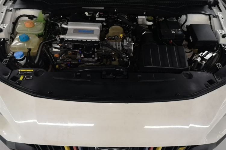 Used GAC Trumpchi EMPOW 2021 270T DCT J16 Version Engine Bay