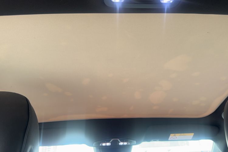 Used GAC Trumpchi EMPOW 2021 270T DCT J15 Version Headliner