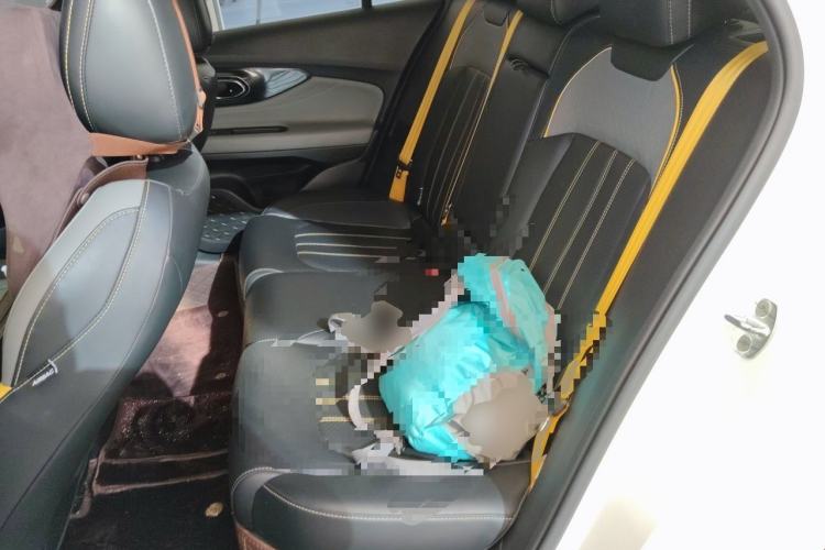 Used GAC Trumpchi EMPOW 2021 270T DCT J15 Version Left Rear Seat