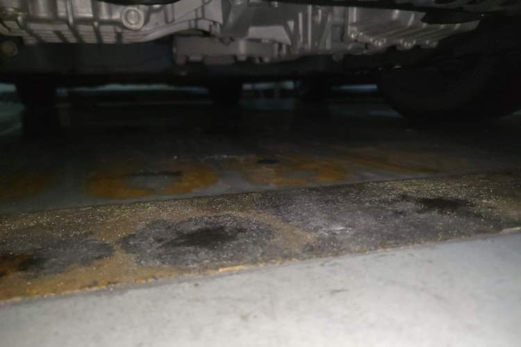 Used GAC Trumpchi EMPOW 2022 270T DCT J16 R-Style Track Edition Chassis Front