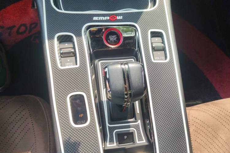 Used GAC Trumpchi EMPOW 2023 270T DCT J15 Version Gear Lever