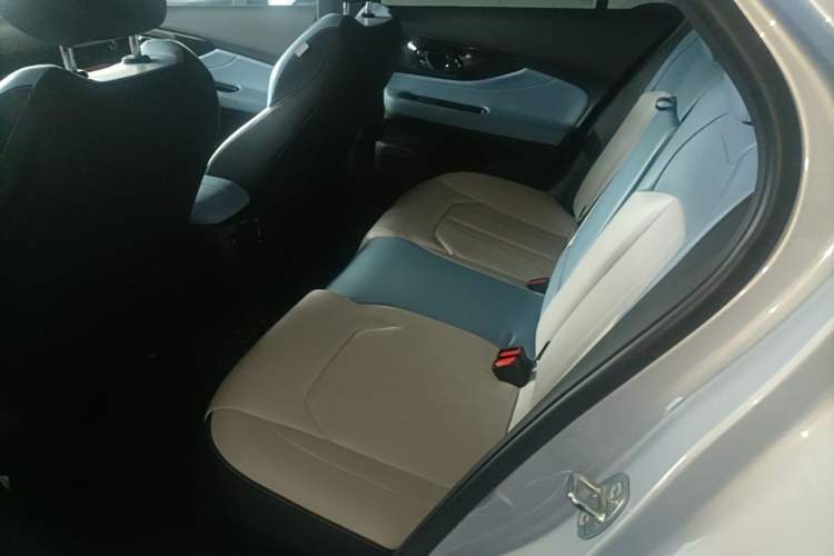 Used GAC Trumpchi EMPOW 2023 Shadow Leopard H Smart Hybrid Edition Left Rear Seat
