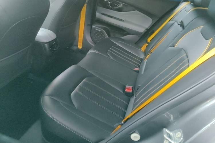 Used GAC Trumpchi EMPOW 2023 Shadow Leopard H Smart Hybrid Edition Left Rear Seat
