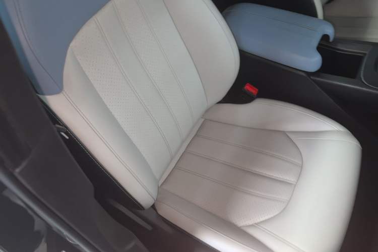 Used GAC Trumpchi EMPOW 2023 Shadow Leopard H High-Energy Hybrid Edition Right Front Seat