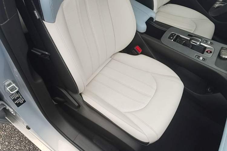 Used GAC Trumpchi EMPOW 2023 Shadow Leopard H High-Energy Hybrid Edition Right Front Seat