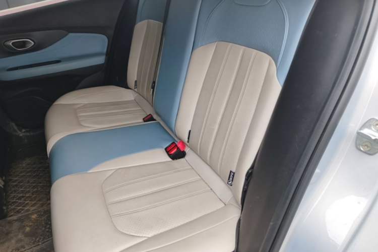 Used GAC Trumpchi EMPOW 2023 Shadow Leopard H High-Energy Hybrid Edition Left Rear Seat
