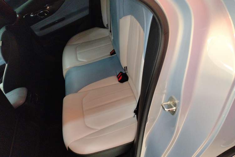 Used GAC Trumpchi EMPOW 2023 Shadow Leopard H Smart Hybrid Edition Left Rear Seat