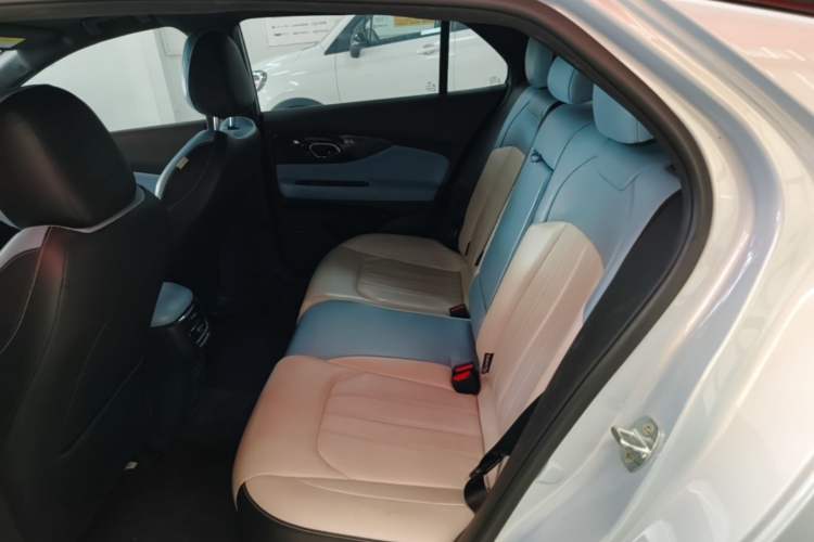 Used GAC Trumpchi EMPOW 2023 Shadow Leopard H High-Energy Hybrid Edition Left Rear Seat