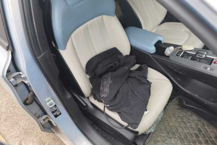 Used GAC Trumpchi EMPOW 2023 Shadow Leopard H High-Energy Hybrid Edition Right Front Seat